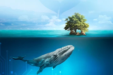 Biển mãi xanh màu huyền bí