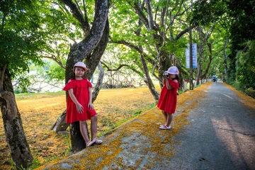 Hoa giáng hương ấn phủ vàng phố phường Đà Nẵng