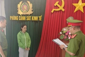 Nữ giám đốc mua hơn 500 hóa đơn để né thuế