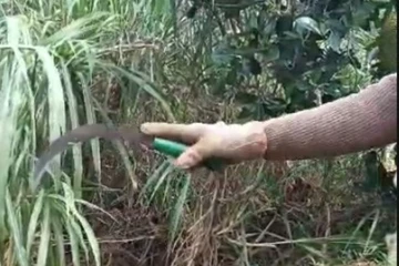 Bị cáo kêu oan, bị hại nói bị cáo không phải là người chém mình