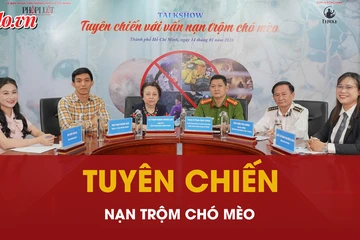 ‘Tuyên chiến với vấn nạn trộm chó mèo’: Gỡ nút thắt pháp lý, bảo vệ thú cưng và cộng đồng