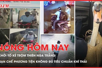 Khởi tố kẻ trộm thiên nga trắng ở Thảo Cầm Viên; TP.HCM tiến tới hạn chế phương tiện không đủ tiêu chuẩn khí thải