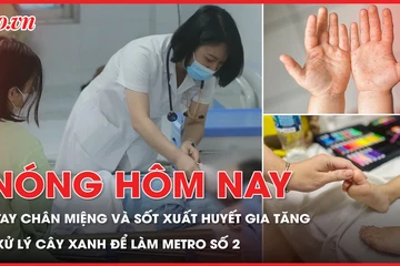 Số ca tay chân miệng và sốt xuất huyết gia tăng; Xử lý hơn 450 cây xanh để làm metro số 2
