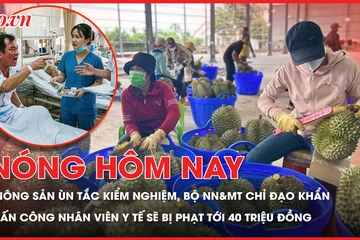Nhiều nông sản ùn tắc kiểm nghiệm, Bộ NN&MT chỉ đạo khẩn; Từ 15-5, tấn công nhân viên y tế bị phạt tới 40 triệu đồng