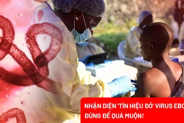 Dịch Ebola diễn biến phức tạp: Những lưu ý không thể bỏ qua