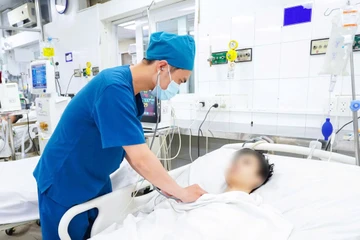 TP.HCM cảnh báo bệnh sốt xuất huyết sẽ gia tăng