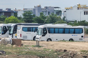 Doanh nghiệp vận tải giảm chuyến cắt lỗ, rục rịch tăng giá vé vì xăng dầu