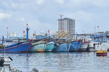 Giá xăng dầu tăng cao, nhiều tàu cá của ngư dân miền Trung tạm dừng ra khơi