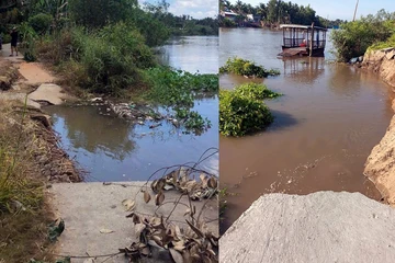 1 xã ở Cần Thơ xuất hiện 69 điểm sạt lở, nhiều tuyến đường bị chia cắt 