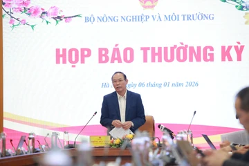 Đảm bảo nguồn cung thực phẩm dịp Tết Nguyên đán 2026