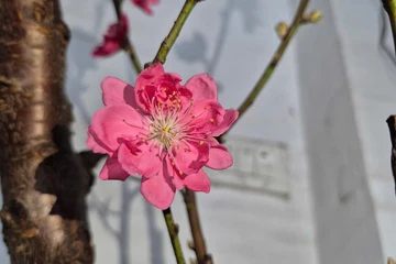 Mùng 2 Tết, miền Bắc chuyển rét, có nơi dưới 13 độ