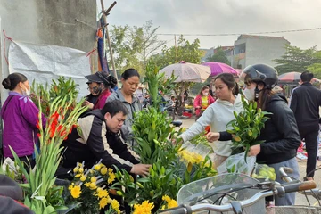 Mùng 2 Tết, nhiều siêu thị, chợ rục rịch hoạt động trở lại