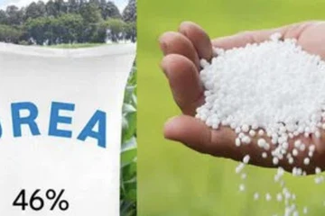 Chiến sự tại Trung Đông tác động tới thị trường phân bón ra sao?