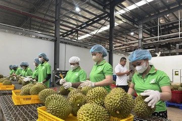 Việt Nam chia sẻ thông tin hệ thống truy xuất nguồn gốc nông sản với Trung Quốc