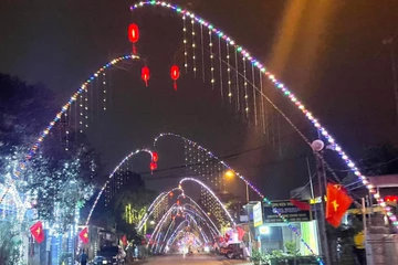 Dựng cây nêu đón Tết, một phụ nữ bị điện giật nguy kịch