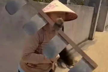 Công an xác minh clip người phụ nữ dùng cào phơi lúa ngăn xe tải