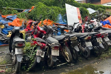 Án lệ về định tội danh đối với hành vi chiếm đoạt tài sản của mình đang bị công an tạm giữ