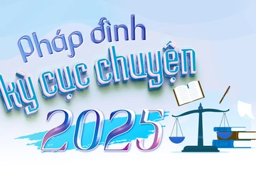 Pháp đình kỳ cục chuyện 2025