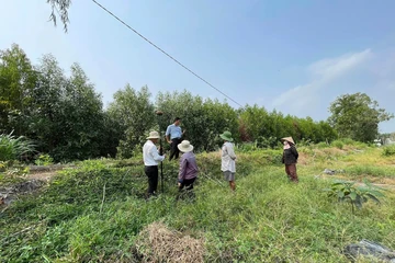 Nghị định 50: Người dân được giảm đến 70% tiền sử dụng đất khi làm sổ đỏ