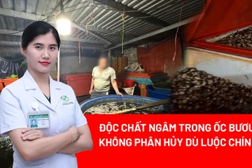 ốc bươu, hóa chất, thực phẩm