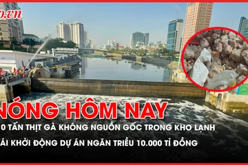 thịt gà không nguồn gốc, dự án ngăn triều, bồi thường chuyến bay chậm, 