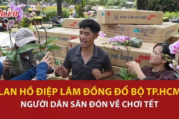 lan hồ điệp, công viên, Lâm Đồng