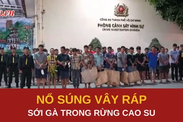 Tiếng súng chỉ thiên vây ráp sới gà trong rừng cao su