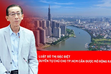 TP.HCM, Luật đô thị đặc biệt, Bộ Chính trị