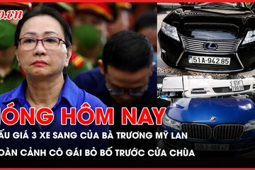 đấu giá, xe sang, Trương Mỹ Lan