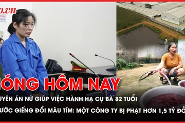 hành hạ, giúp việc, tuyên án, bùi đình khánh, nước giếng 