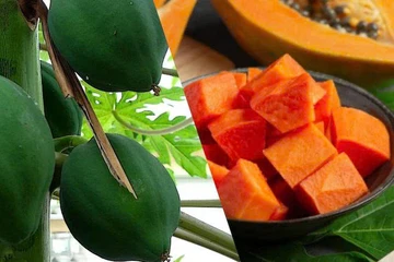 Người bệnh tiểu đường nên ăn đu đủ xanh hay chín để kiểm soát đường huyết?