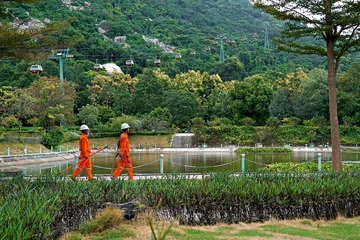 Ngành điện miền Nam sẵn sàng đảm bảo cấp điện Tết Bính Ngọ 2026