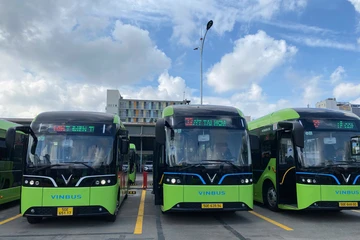 TP.HCM chuyển đổi 169 xe buýt điện