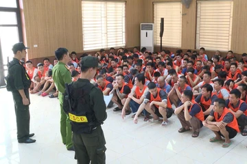 Triệt phá 'trường gà quốc tế Viêng Xay', khởi tố 196 bị can 