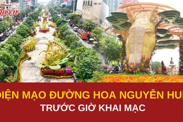 Diện mạo đường hoa Nguyễn Huệ trước giờ khai mạc