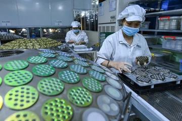 GDP 2025 đạt 8,02%, Việt Nam có mức tăng trưởng cao nhất khu vực Đông Nam Á