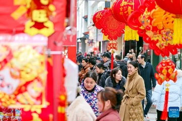 Châu Á rộn ràng đón Tết Bính Ngọ