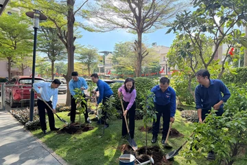 TP.HCM: Khởi động Tháng Thanh niên 2026 với nhiều chỉ tiêu đột phá