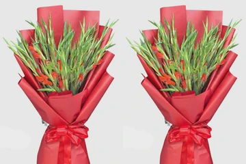 Vì sao hoa lay ơn được chọn để trao tặng trong các nghi thức trang trọng?