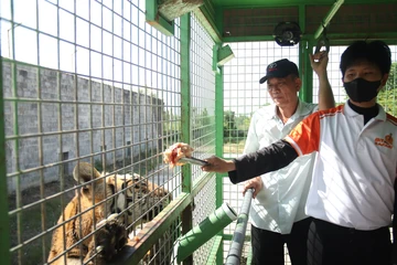 Du lịch Long An hướng đến phát triển ngành kinh tế quan trọng, là điểm đến du lịch vệ tinh của TP.HCM