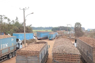 Nông sản Campuchia được “giải cứu” khi các cửa khẩu Tây Ninh được thông quan