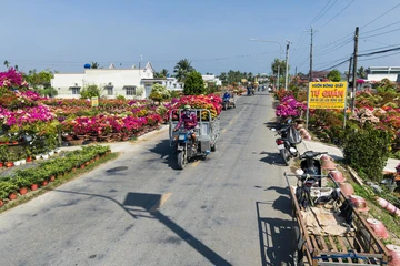 Chợ Lách tất bật mùa hoa Tết, thương lái tấp nập về vườn