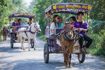 Giữ tiếng vó ngựa giữa cồn Thới Sơn