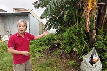 Vụ trúng đấu giá lô đất ảo: Không thể để người dân gánh hậu quả từ sai sót của chính quyền