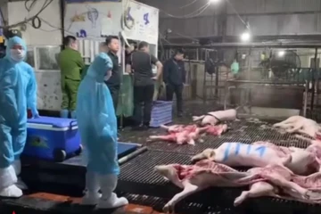 Vụ tuồn 300 tấn thịt heo bệnh vào thị trường: Đừng để đồng tiền làm nguy hại xã hội