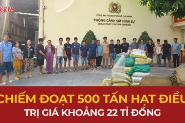 'Phù phép' xe container chiếm đoạt 500 tấn hạt điều, trị giá khoảng 22 tỉ đồng