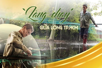 Một ngày mưu sinh ở ‘làng chạy’ giữa lòng TP.HCM