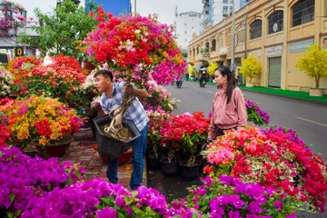 Nhìn lại hình ảnh rộn ràng chợ hoa xuân ‘Trên bến dưới thuyền’ Tết Bính Ngọ 2026