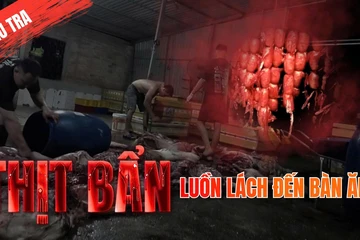 TRAILER ĐIỀU TRA: Thịt bẩn luồn lách đến bữa ăn