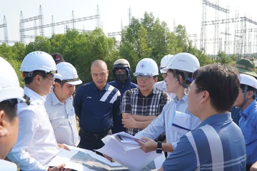 Đầu tư xây dựng lưới điện năm 2025: EVNSPC về đích vượt chỉ tiêu